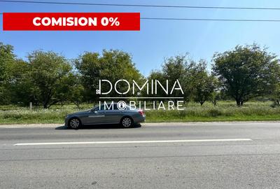 Vânzare teren situat în Târgu Jiu, Calea Tismanei - la DN 67 D - 1