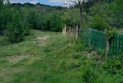 Teren extravilan de vânzare – Stănești, 3.861 mp, livadă de cireși - 9