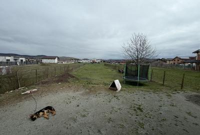 Casă individuală pe un nivel | 122 MP | 3 camere | 1.150 MP TEREN | ALBA-MICEȘTI - 11