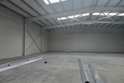 Inchiriere hala/birouri, TBM Industrial Park 600 MPU si teren 1016mp - 4