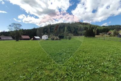 Teren de 14318m.p. în Paltinis, la 100m de strada Principala - 5