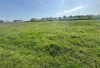 Teren 1239 mp front 29 in Aradul nou - 7