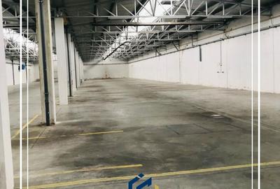 Hala de Inchiriat, comercial , industrial, logistica, Uta, Arad - 3