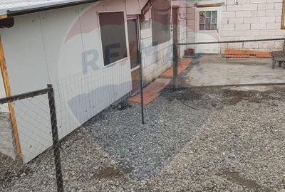 Afacere la cheie în creșterea porcinelor – Rona de Jos - 7