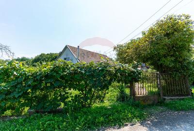 Casă  cu 10 camere in 2 corpuri de cladire (se pot vinde separat) - 29