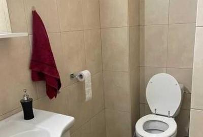 Apartament 2 camere 60 mp/ Bucurestii Noi - 6