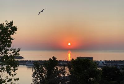 Peninsula , Piata Ovidiu - 7