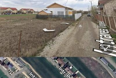 Domnesti  Viorellelor - 1