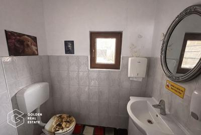 Spatiu comercial, 250 mp, pretabil loc joaca copii, zona Boul Rosu - 12
