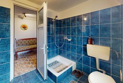 Casă / Vilă cu 4 camere de vânzare în zona Calea Poplacii - 9