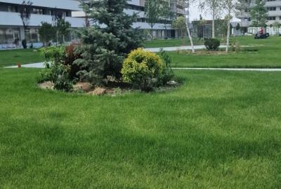 Apartament 1 camera Etaj 1 Comision 0% - 12