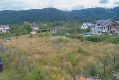 Comision 0! Teren Rasnov Glajerie, Str Lupului, 1000mp - 17