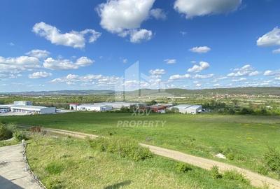 Teren intravilan 12631 mp , front stradal 151m /Sibiu/ Parc Ind. Selimbar - 6