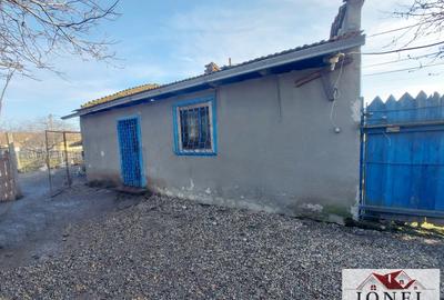 Vanzare casa in Vintu de Jos - 5