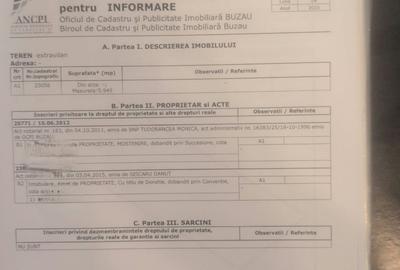Vanzare vita de vie in sat Dealu Viei - Buzau Comision 0% - 4