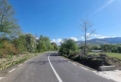 Teren valea Sebesului - 4