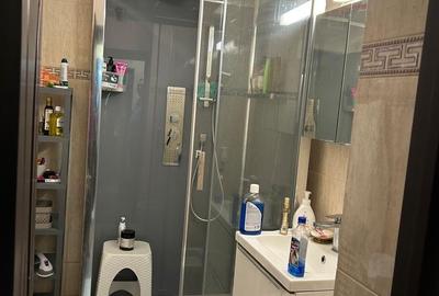 Apartament 3 camere de vanzare Gorjului - 6