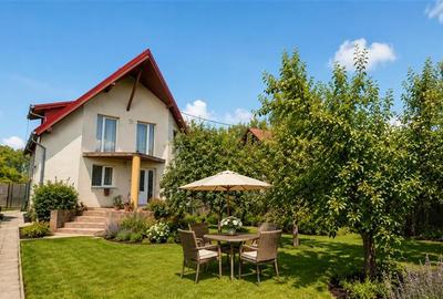 Casa cu 6 camere, 600 mp teren, pomi fructiferi, toate utilitatile, Stupini, Bra - 1