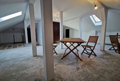 Vila cocheta cu spatii generoase si gradina de 350 mp - 13
