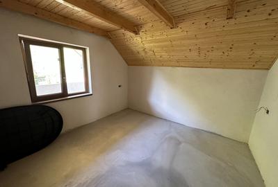 Casa cu teren langa râu Lotrioara - 13