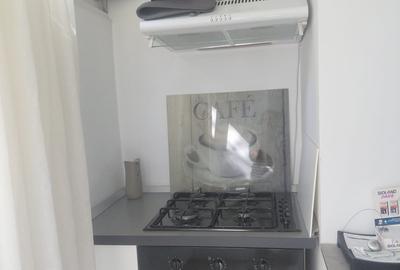 Pantelimon, Delfinului, Lidl, Mega Image, stradal - 11