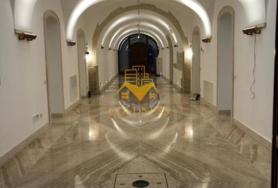 Casă individuală cu 10 camere în Gruia