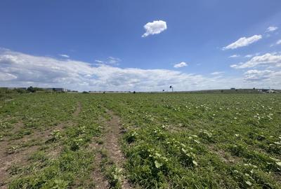 Teren agricol extravilan de 10000 mp, în Ghiroda