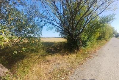 Teren intravilan de vanzare zona Magura Cisnadie - 12