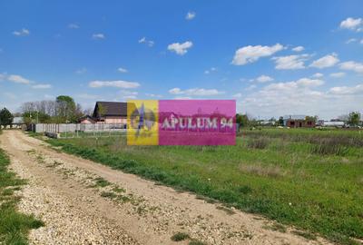 Teren Construcții intravilan de 520 mp, în Săbăreni