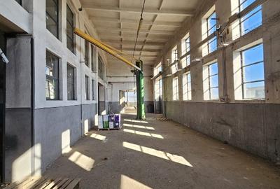 Spatiu industrial Mun. Calafat, Jud. Dolj  teren + constructii 9692mp+2931mp - 11