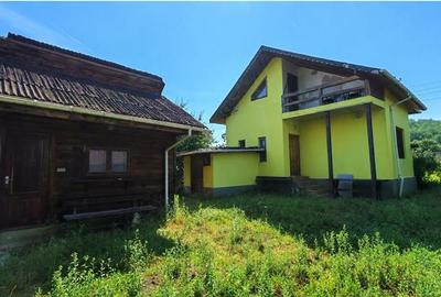 BUDESTI - CASA LA 15 MINUTE DE ORAS, TEREN 1233 MP - 5