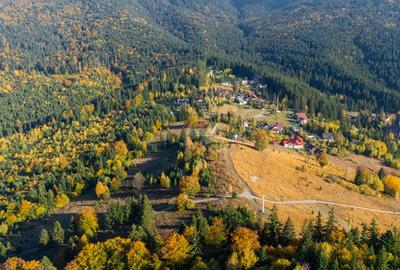Teren 7.885 mp în Durău – poziție premium, belvedere 360° - 13