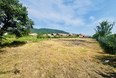 Casa cu 5 camere - teren 4300 mp – loc. Seica Mare - 15