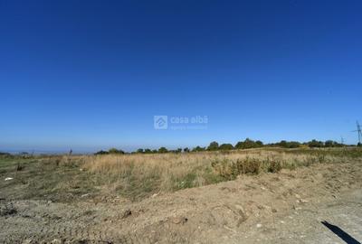 Teren 10.000mp plan, 350m altitudine | Barnova-Paun | POT 35%, CUT 0.9 - 7