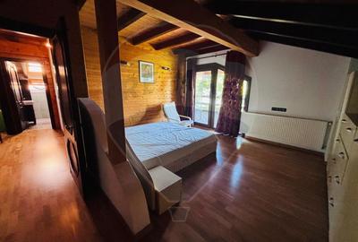 Casa de vacanta de închiriat  Cornetu -Mihailesti - 12