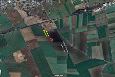 GRADISTEA - Sat Sitaru, teren agricol 11.961mp, ideal investitie - 3