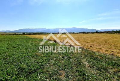 Teren cu vedere panoramica Intrare in Cisnadie 2325 mp deschidere 25ml - 4