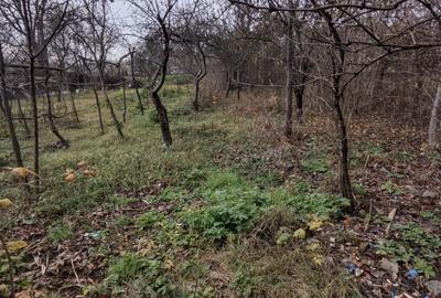 Casă de vânzare, 2 camere, 60 mp, 900 mp teren Dâmbul Rotund zona Dedeman - 6