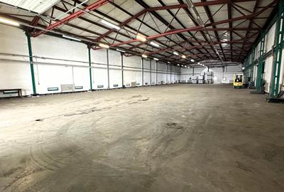 Hala 850mp zona industriala Vest - 2