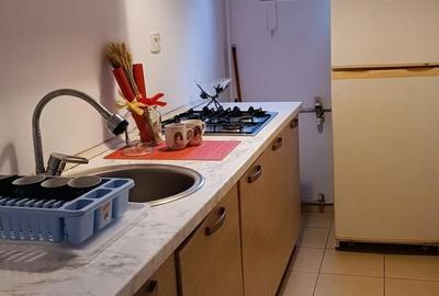 GARSONIERA- TINERETULUI, PET-FRIENDLY, BUCATARIE INCHISA, METROU 6 MIN - 5