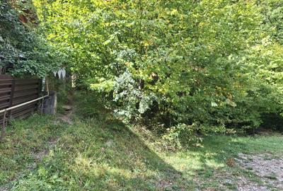 Sinaia – Teren 500 mp de vânzare, zonă centrală, la liziera pădurii!!! - 2