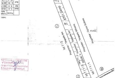 Teren Construcții intravilan de 17499 mp, în Tunari