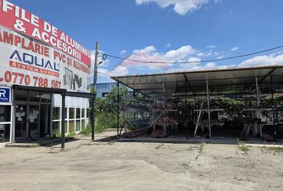 Hala si teren, depozitare, parcare-Spațiu industrial - 7