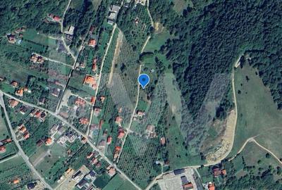 Teren Intravilan 977 mp de Vânzare în Cisnădioara – Locație de Poveste - 7