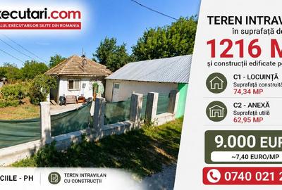 Casă individuală cu 2 camere în Sălciile