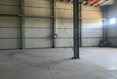Hala industriala 380 mp + 40 mp de birou, zona - Calea Sagului - 6