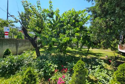 Casa eleganta cu tavane inalte si gradina superba - 14