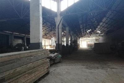 Hala si birouri 5000 mp langa Cora Pantelimon - 8