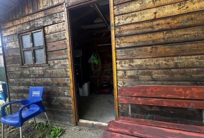 Casa de vanzare in comuna Ghizdaru , jud Giiurgiu - 8