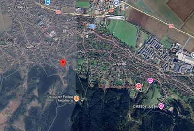 Teren deosebit - 1500 mp, Poiana Angelescu, Str. Livezii - 14